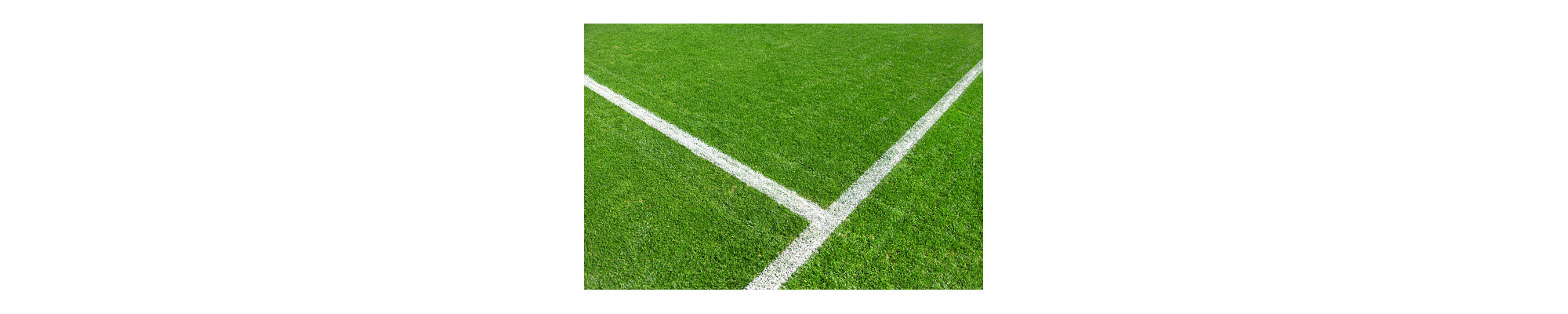 Chaussure de foot pour terrain sec